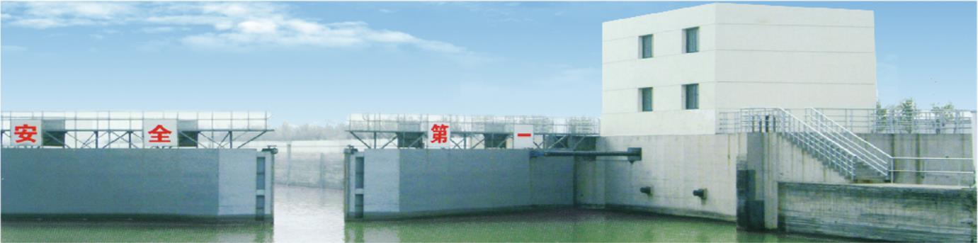 集成式液压启闭机、油缸